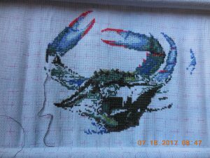 Progress on Queenstown Blue Crab.