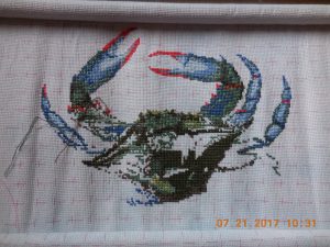 Progress on Queenstown Blue Crab 7/21.
