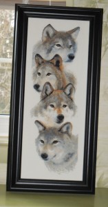 The Wolf Pack framed.